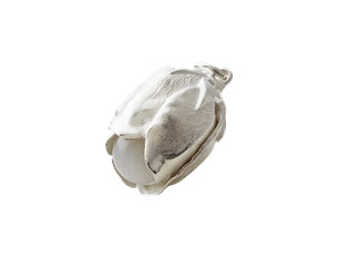 Apple Bud Silver Charm/Pendant with Moonstone