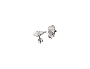 Lichen Stud Earrings, Silver